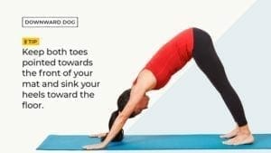 downward dog yoga